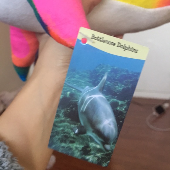 Multicolor dolphin stuff animal - Picture 3 of 4
